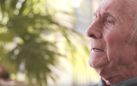 Ooggetuigen over de bevrijding van de stad en de haven