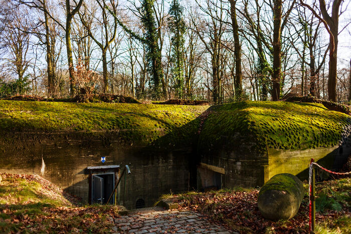 Bunker in park Den Brandt